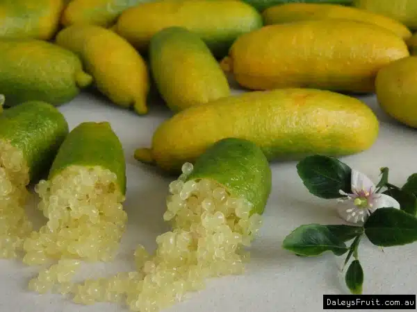 citron caviar sunshine yellow sur la tale coupés en deux