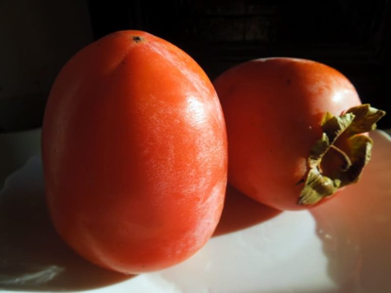 fruit du kaki rojobrillant dit persimon, kaki de production