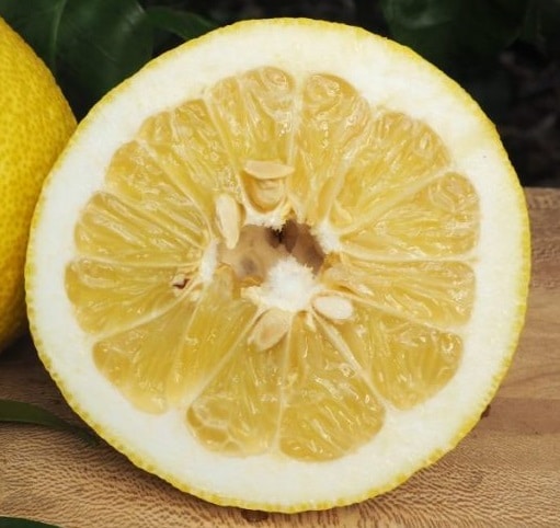 fruit du honghe papeda coupé
