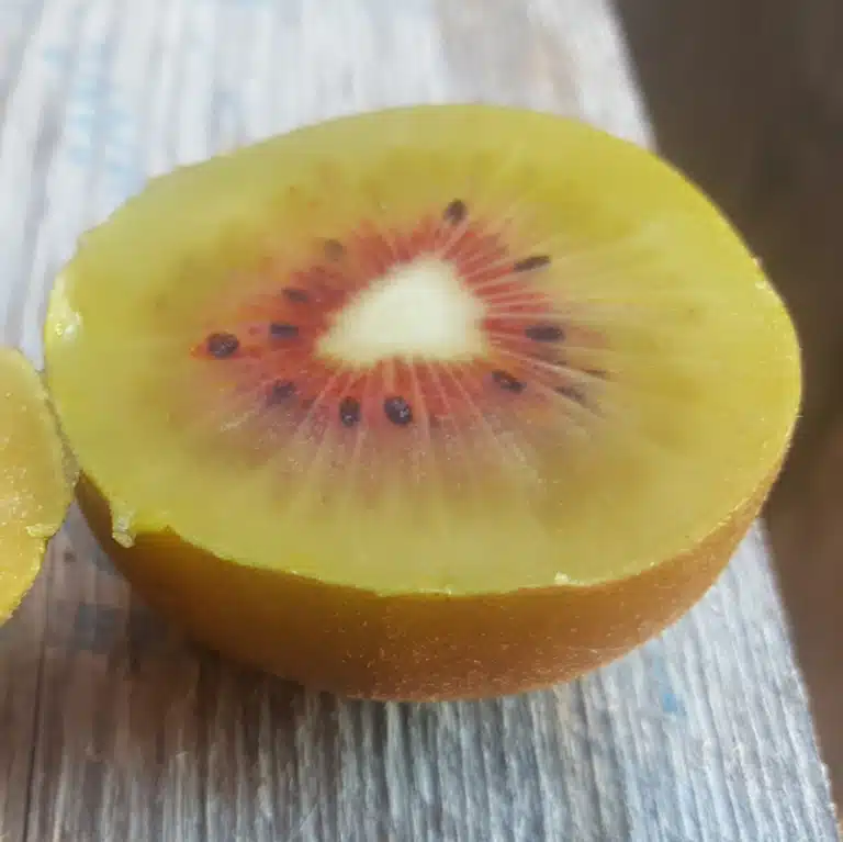 Kiwi Monte Vermelho, kiwi rouge, chair jaune à coeur rouge, photo prise à la pépinière du bosc