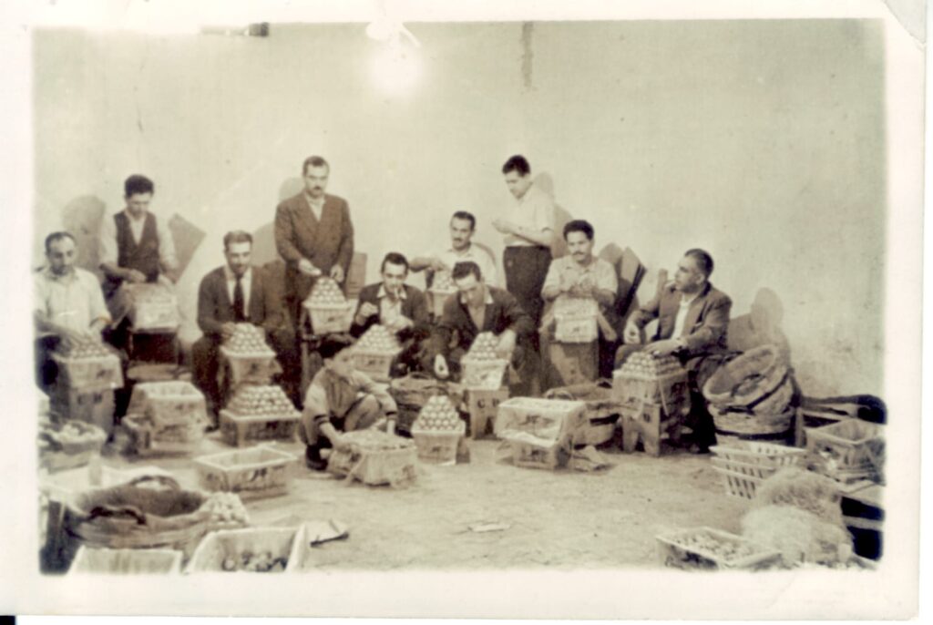 tradition nefle de trabia néflier