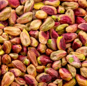 pistache de la variété de pistachier Sirora, pistachier du froid femelle