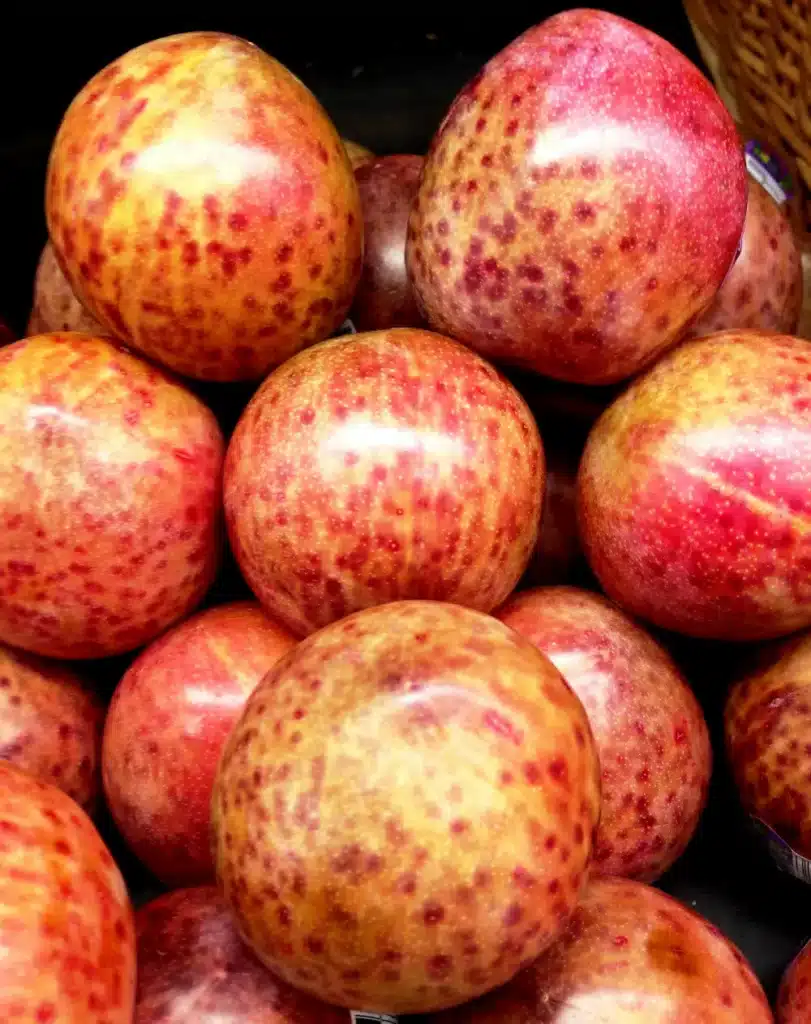 Fruits de Pluot, hybride entre prune et abricot, à peau rouge et jaune