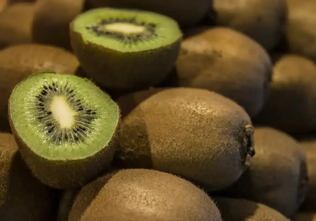 Fruits de kiwi jenny sur la liane