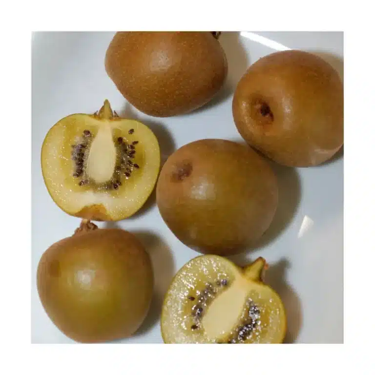 Kiwi jaune Minkigold entier et coupé montrant sa chair dorée