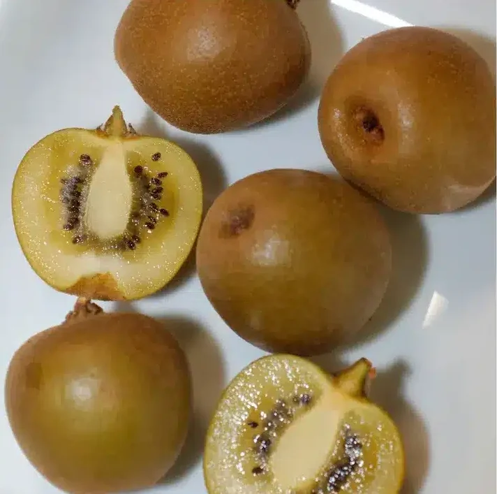 Kiwi jaune Minkigold entier et coupé montrant sa chair dorée