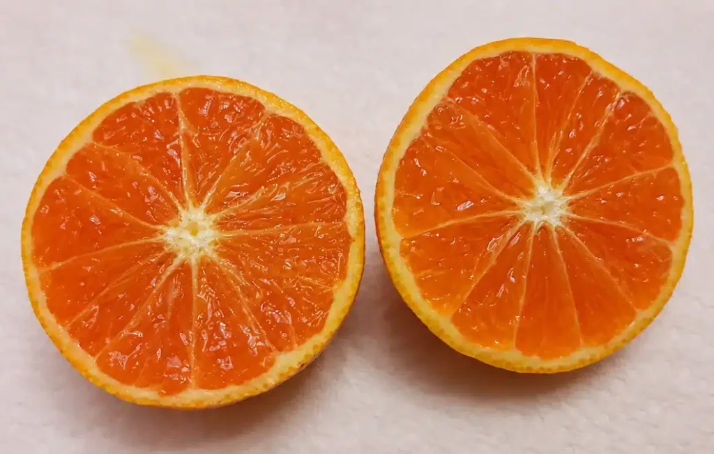 Mandarine CAMI coupée montrant sa chair orange juteuse
